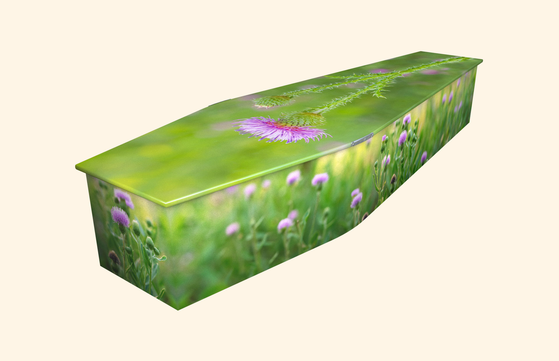 Thistle design on a traditional coffin